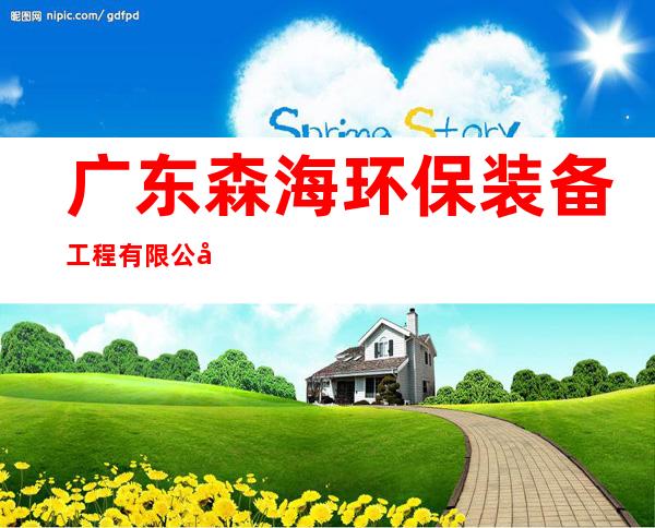 广东森海环保装备工程有限公司